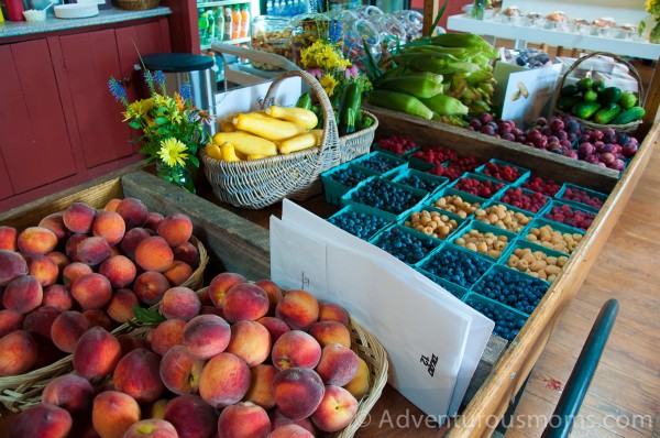 Smolak Farms in North Andover, MA