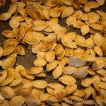 Roasted Pumpkin Seeds