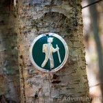 Trail Marker at Woodchuck Hill in North Andover, MA