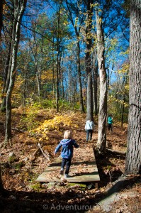 Woodchuck Hill, North Andover, MA