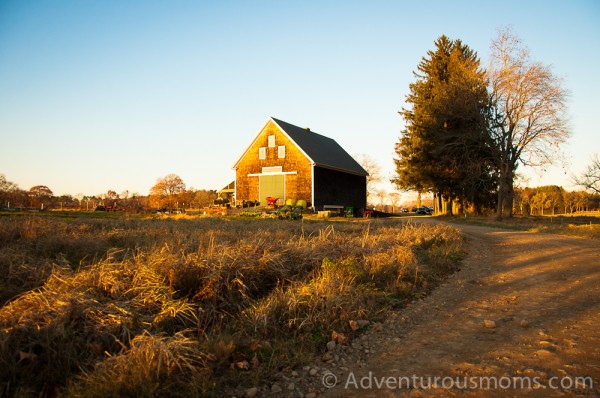 Appleton Farms, Ipswich, MA