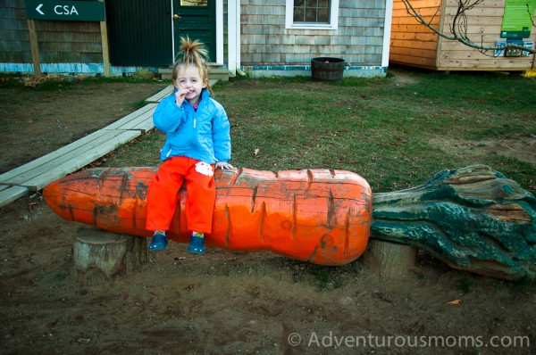 Appleton Farms, Ipswich, MA