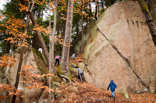 Boulders at Pawtuckaway State Park, New Hampshire