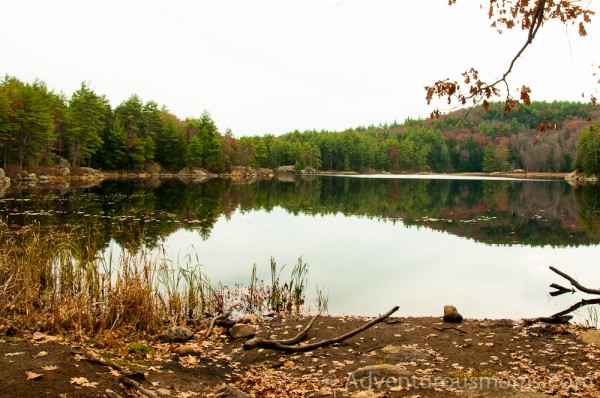 Pawtuckaway State Park, New Hampshire