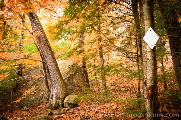 Pawtuckaway State Park, New Hampshire