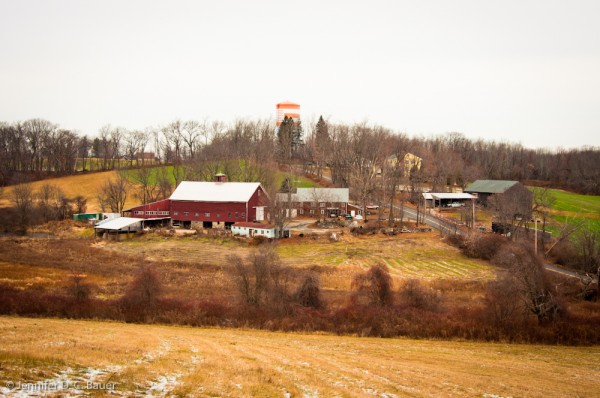 Carter Hill - North Andover, MA