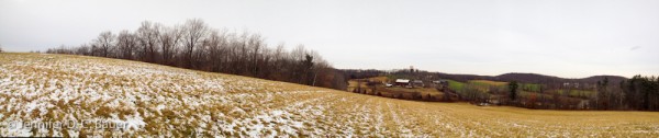 Carter Hill Panorama