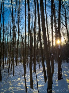 Mazurenko Farm, North Andover, MA