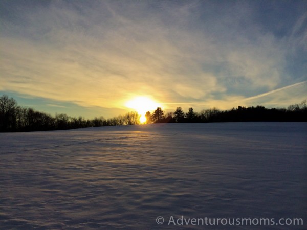 Mazurenko Farm, North Andover, MA