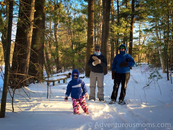 Mazurenko Farm, North Andover, MA