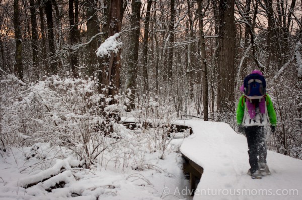 Vale Reservation, Andover, MA-19