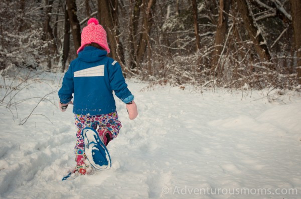 Vale Reservation, Andover, MA-19