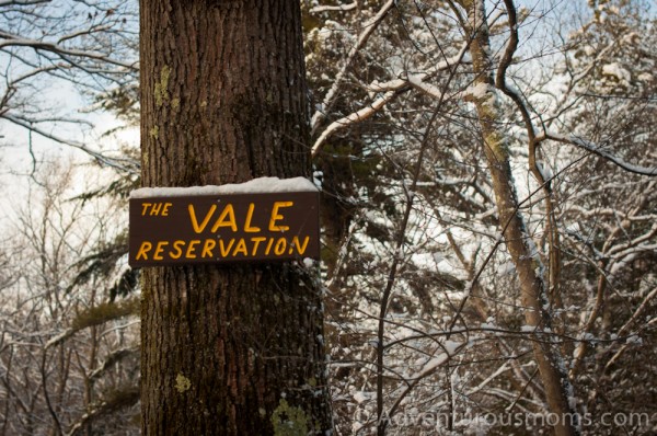 Vale Reservation, Andover, MA-19