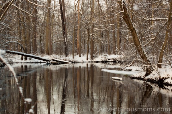 Vale Reservation, Andover, MA-19