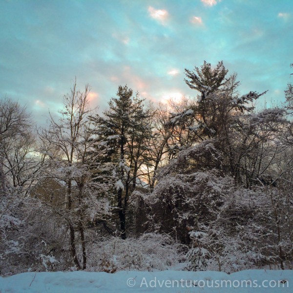 Vale Reservation, Andover, MA-19