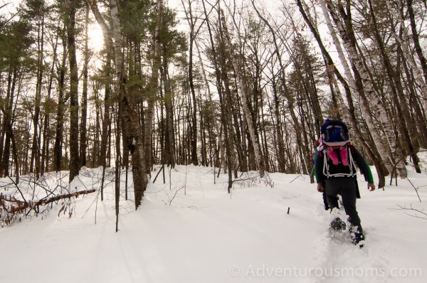 Heading up Whortle-Berry Hill in the Lowell-Dracut-Tyngsborough State Forest