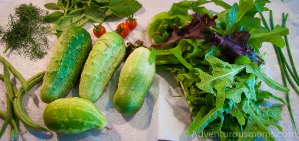 Gardening with Kids