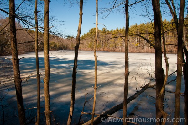 Hiking at Harold Parker State Forest in Andover, MA