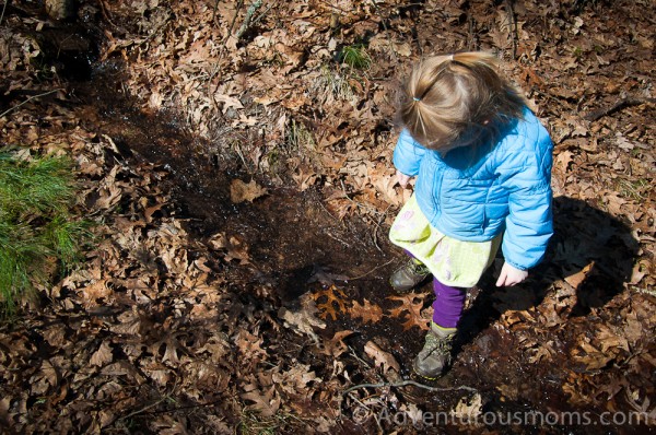 Hiking at Harold Parker State Forest in Andover, MA