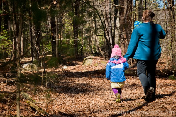 Hiking at Harold Parker State Forest in Andover, MA