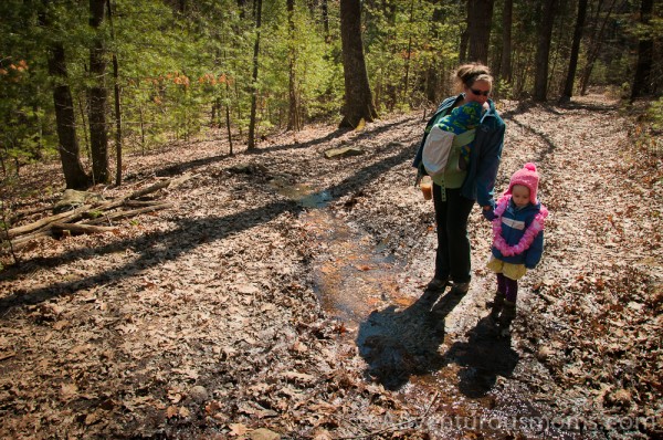 Hiking at Harold Parker State Forest in Andover, MA