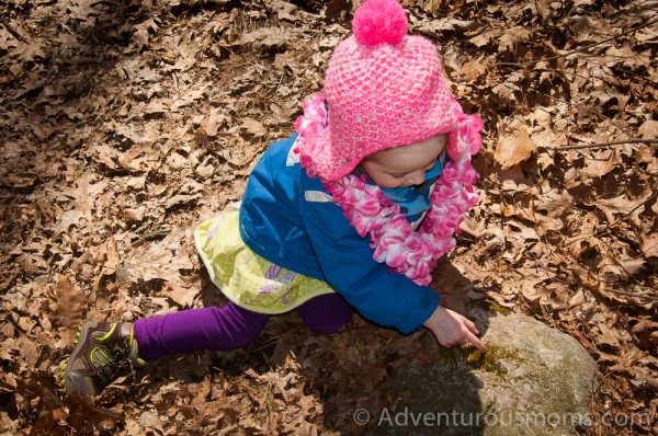 Hiking at Harold Parker State Forest in Andover, MA