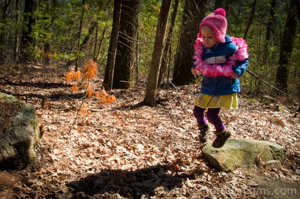 Hiking at Harold Parker State Forest in Andover, MA