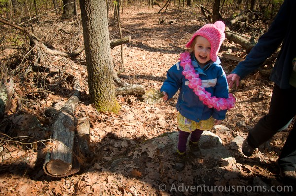 Hiking at Harold Parker State Forest in Andover, MA