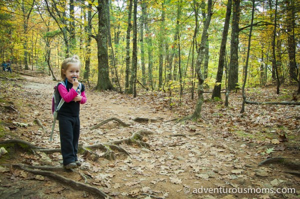 Hiking with Babies and Toddlers - The 10 Essentials