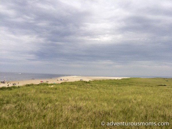 The dunes overlooking Crane Beach in Ipswich, MA