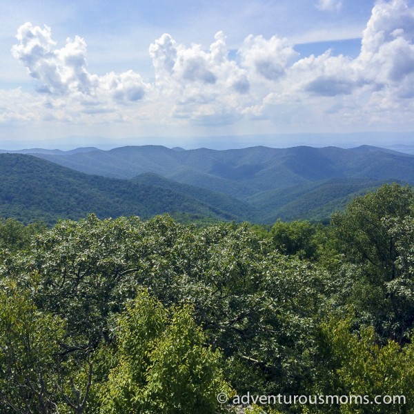 Frazier Discovery Trail in Shenandoah National Park, Virginia