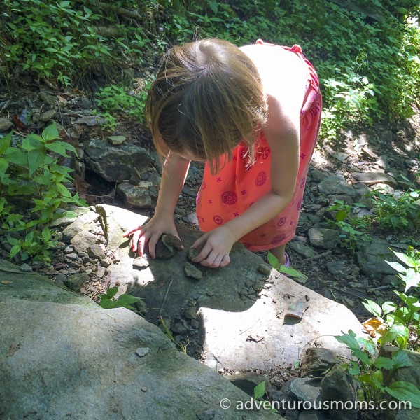 Frazier Discovery Trail in Shenandoah National Park, Virginia