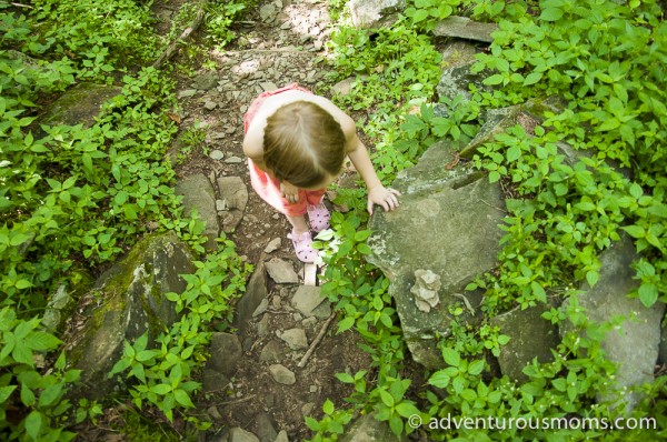 Frazier Discovery Trail in Shenandoah National Park, Virginia