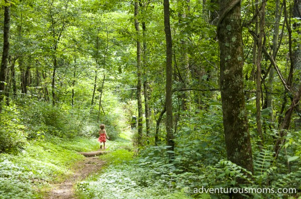 Frazier Discovery Trail in Shenandoah National Park, Virginia