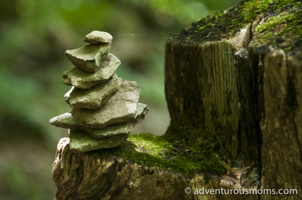 Frazier Discovery Trail in Shenandoah National Park, Virginia