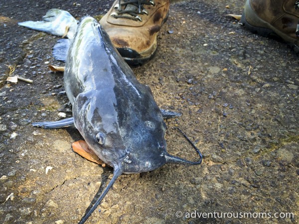 Fishing on the Saluda River