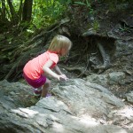 http://www.outdoors.org/recreation/tripplanner/plan/hiking-mt-jefferson.cfm