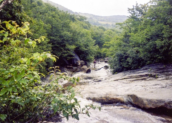 Hiking in Pisgah National Forest, NC