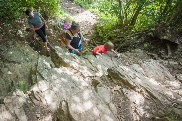 Hiking Mt. Pisgah in NC