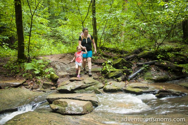 Oconee Station Cove Falls Trail South Carolina