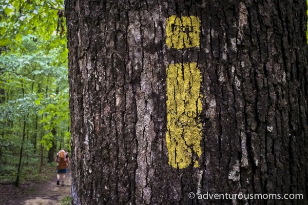 Oconee Station Cove Falls Trail South Carolina