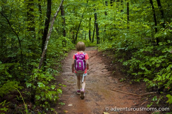 Oconee Station Cove Falls Trail South Carolina