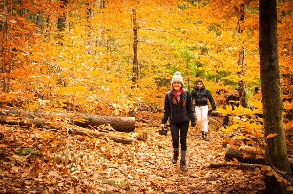 5 Tips for Photographing Fall Foliage