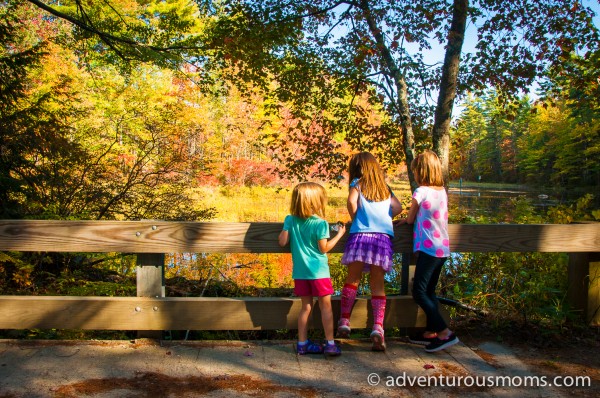 5 Tips for Photographing Fall Foliage