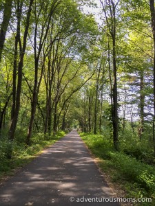 Biking the Bruce Freeman Rail Trail in MA