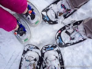 Green Friday Hike: Weir Hill Snowshoeing