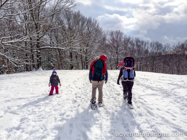 Green Friday Hike: Weir Hill Snowshoeing