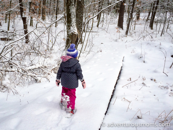 Green Friday Hike: Weir Hill Snowshoeing