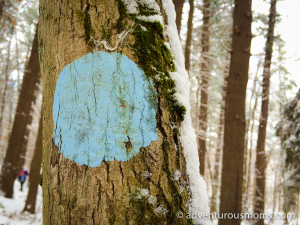 Green Friday Hike: Weir Hill Snowshoeing