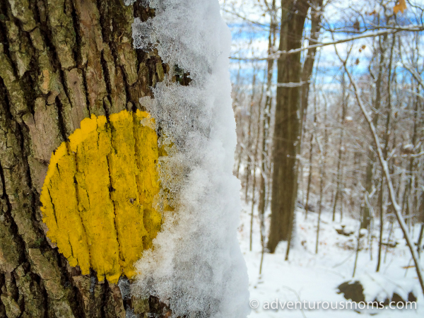 Green Friday Hike: Weir Hill Snowshoeing